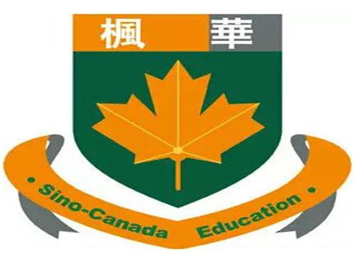 成都全腦開(kāi)發(fā)加盟市場(chǎng)洞察與選擇指南